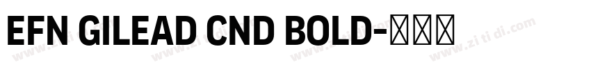 EFN Gilead Cnd Bold字体转换